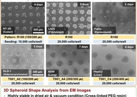 PAMCELL™ 3D Cell Spheroid Data