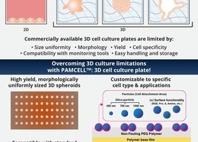 PAMCELL™ Infographic